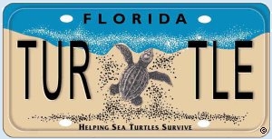 Florida Sea Turtle License Plate