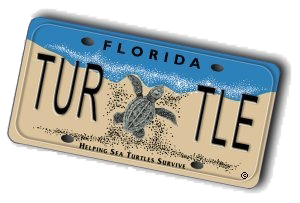 Florida Sea Turtle License Plate - Tilted
